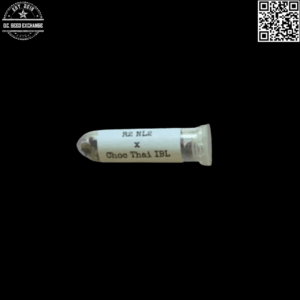 Swami Seeds R2 NL2 x Chocolate Thai IBL 12 Regular Seeds