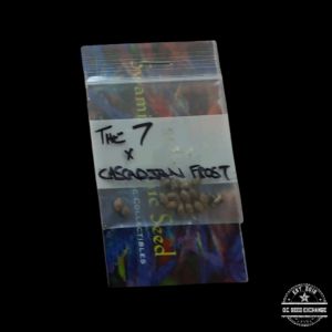 Swami Seeds The 7 x Cascadian Frost 15 Regular Seeds