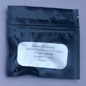 Swamp Donkey Seeds Blood Diamonds F1 5 Regular Seeds