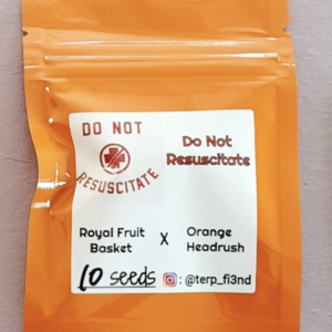 TERP FI3ND Do Not Resuscitate Royal Fruit Basket x Orange Headrush 10 Regular Seeds