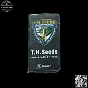 T.H. Seeds Lambo (Jamaican Haze x [Jamaican Purple x Super Afghan]) 5 Regular Seeds