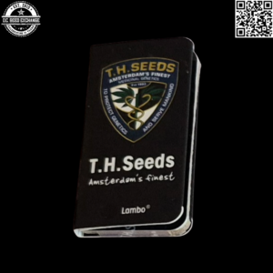 T.H. Seeds Lambo (Jamaican Haze x [Jamaican Purple x Super Afghan]) 5 Regular Seeds