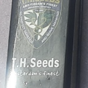 T.H. Seeds MOB 5 Feminized Seeds