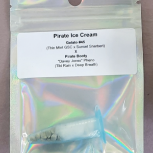 Team Cali Genetics Pirate Ice Cream 10 Regular Seeds