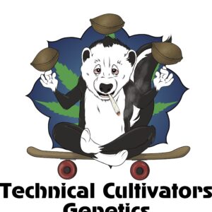 Alani Sour (Sour Statan x Alani Skunk) 3 Feminized Seeds