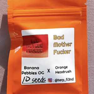 Terp Fi3nd Bad Mother F*cker 10 Regular Seeds