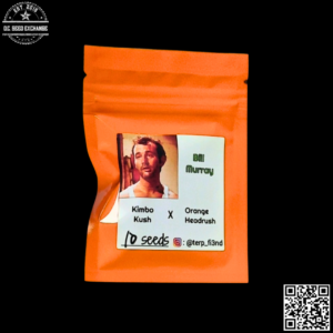 Terp Fi3nd Bill Murray (Kimbo Kush X Orange Headrush) 10 Regular Seeds