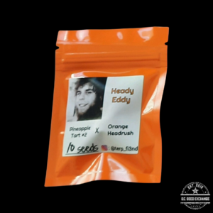 Terp Fi3nd Heady Eddy F1 (Pineapple Tart x Orange Headrush) 10 Regular Seeds