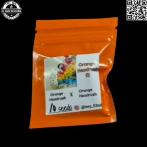 Terp Fi3nd Orange Headrush F2 10 Regular Seeds