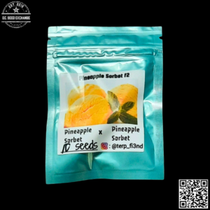Terp Fi3nd Pineapple Sorbet F2 10 Regular Seeds
