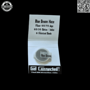 The Cali Connection Blue Dream Haze (Blue Dream Haze x SFV OG IBL) 6 Feminized Seeds