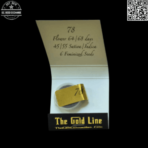 The Cali Connection The Gold Line 78 "Gelato Dream" (Gelato 33 X Gelato 45) 6 Feminized Seeds