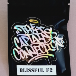 The Captain's Connection Blissful Wizard F2 10 Regular Seeds