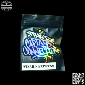 The Captain's Connection Wizard Express F1 (Pineapple Express x Blissful Wizard) 10 Regular Seeds