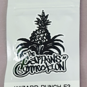 The Captains Connection Wizard Punch F2 10 Regular Seeds