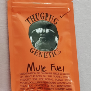 Thug Pug Genetics Mule Fuel 10 Regular Seeds