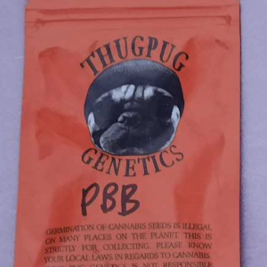 Thug Pug Genetics Peanut Butter Breath 10 Regular Seeds