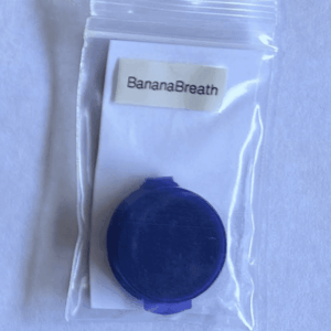 Thug Pug Genetics Banana Breath 10 Regular Seeds