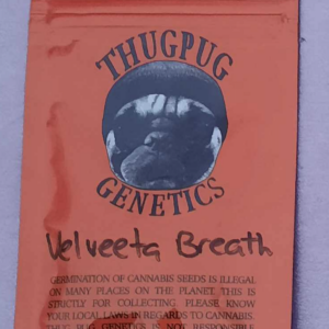 Thugpug Genetics Velveeta Breath F1 10 Regular Seeds