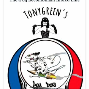 Casey Jones x The GG4 Recombinant Inbred Line 10 Regular Seeds