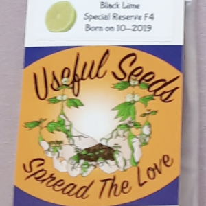 Useful Seeds Black Lime Special Reserve F4 10 Regular Seeds