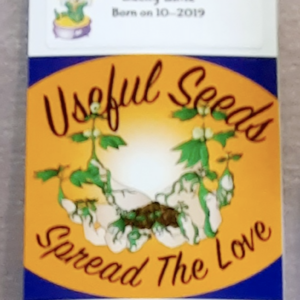 Useful Seeds Lucky Lime F2 10 Regular Seeds