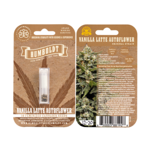 Vanilla Latte Auto 5 Feminized Autoflower Seeds