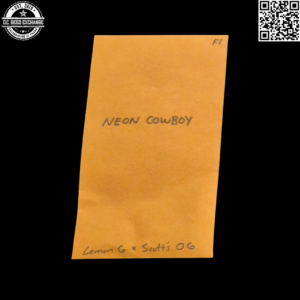 Vernal Neon Cowboy F1 (Lemon G x Scott's OG) 10 Regular Seeds