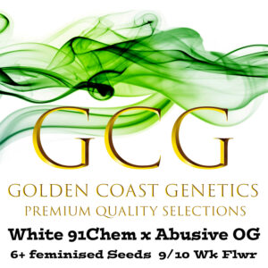 White 91 Chem x Abusive OG S1 6 Feminized Seeds