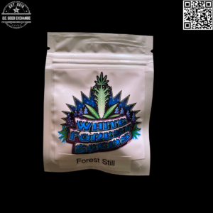 White Forest Seeds Forest Still F1 (Moonshine Haze x White Forest Kush) 10 Regular Seeds