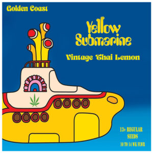 Yellow Submarine F1 (1982 Thai x The Lemon) 12 Regular Seeds