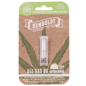 All Gas OG Auto 5 Feminized Autoflower Seeds