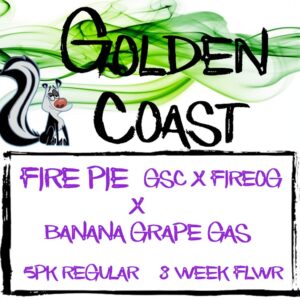 Fire Pie x Banana Grape Gas 5 Regular Seeds