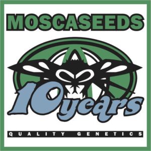 Evolve (Sour OG x Indiana Bubble Gum) 8 Feminized Seeds