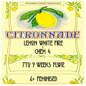 Citronaide (Lemon White Fire x Chem 4) 6 Feminized Seeds