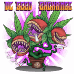 D.C. Seed Exchange Merchandise