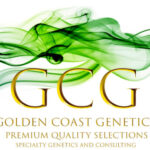 Golden Coast Genetics