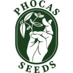 Phocas Seeds