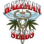 Hazeman Seeds