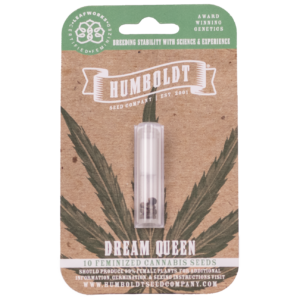 Dream Queen S2 10 Feminized Seeds
