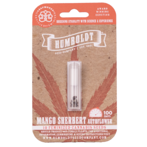 Mango Sherbert F3 Auto 5 Feminized Autoflowering Seeds