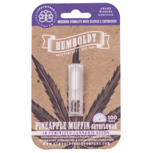Pineapple Muffin Auto 5 Feminized Autoflowering Seeds