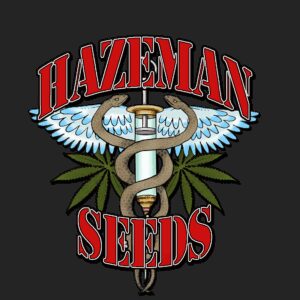 Cheese BX1 ((UK Cheese x Aloha White Widow) x UK Cheese) 12 Regular Seeds