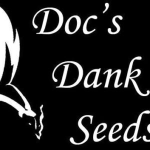 Citrus Soup (Sour Tangie x Plemon/Sour Cherry) 10 Regular Seeds