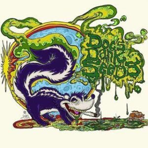 Triple Purple Rhino (Black Sour Bubble/Caseyband/White Rhino x Triple Purple Doja) 10 Regular Seeds