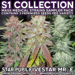 Mass Medical Strains S1 Collection (Star Pupil-Fivestar-Mr.E) 9 Feminized Seeds